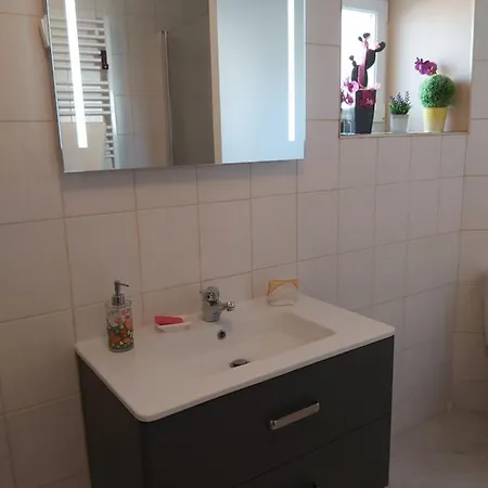 住宿加早餐酒店 D'hotes Les Orchidees Futuroscope Chasseneuil Poitiers 若奈克兰