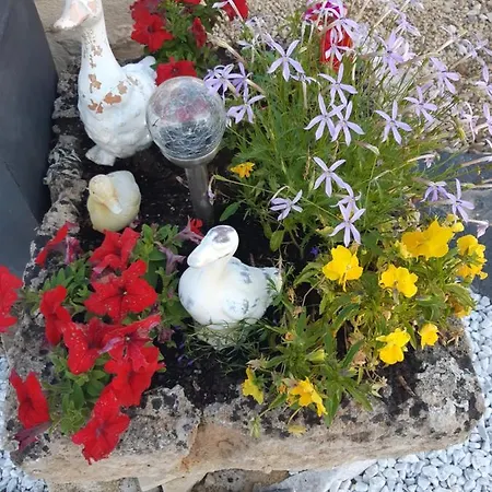 住宿加早餐酒店 D'hotes Les Orchidees Futuroscope Chasseneuil Poitiers 若奈克兰