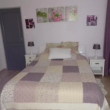 D'hotes Les Orchidees Futuroscope Chasseneuil Poitiers Bed & Breakfast 4*