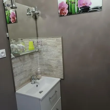 D'hotes Les Orchidees Futuroscope Chasseneuil Poitiers 住宿加早餐酒店