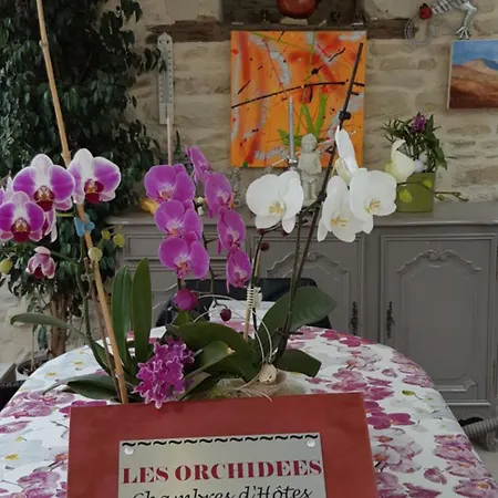 D'hotes Les Orchidees Futuroscope Chasseneuil Poitiers