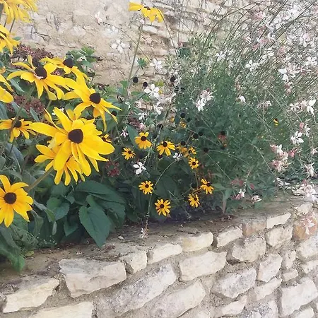 D'hôtes Les Orchidées Futuroscope Chasseneuil Poitiers