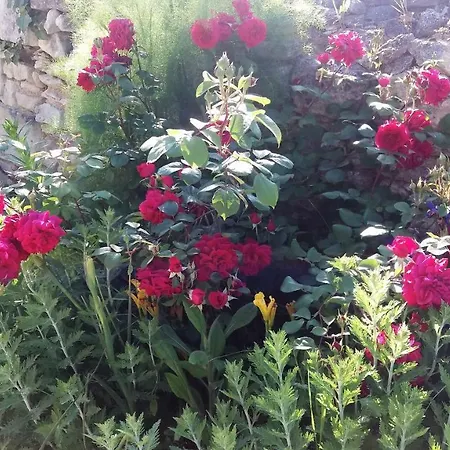 Bed & Breakfast D'hotes Les Orchidees Futuroscope Chasseneuil Poitiers 4*