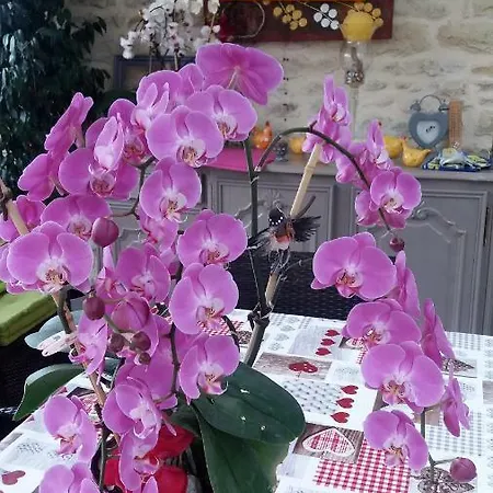 Bed and Breakfast Les Orchidees Hotes Futuroscope Chasseneuil Poitiers Jaunay-Clan