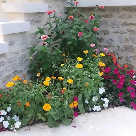 D'hotes Les Orchidees Futuroscope Chasseneuil Poitiers