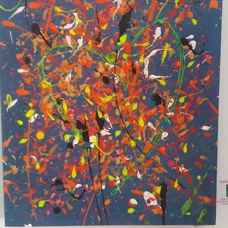 D'hotes Les Orchidees Futuroscope Chasseneuil Poitiers 4*