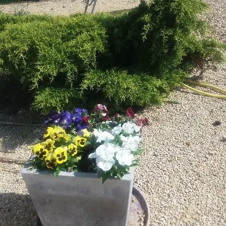 D'hotes Les Orchidees Futuroscope Chasseneuil Poitiers 住宿加早餐酒店 4*