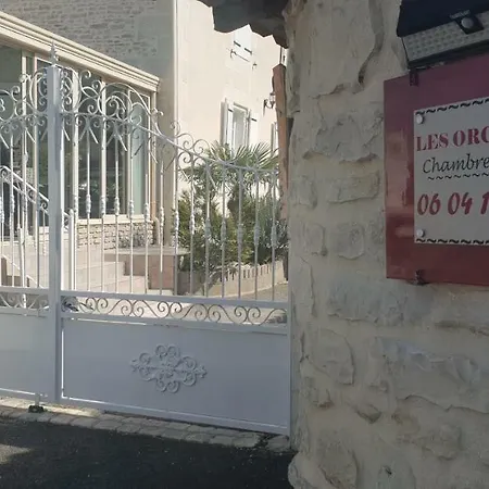 D'hotes Les Orchidees Futuroscope Chasseneuil Poitiers 4* 若奈克兰